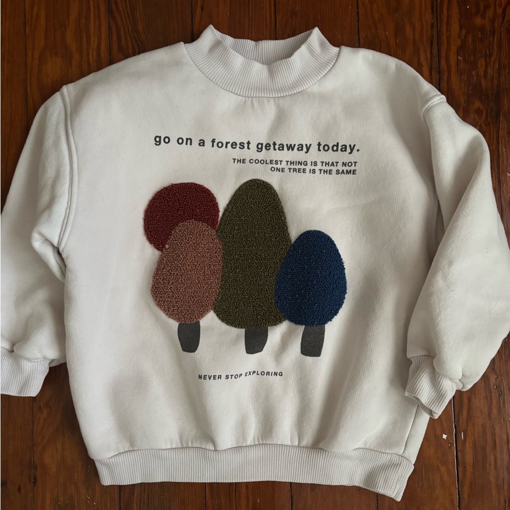 Zara Boys Forest Sweatshirt